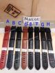 Replica Panerai Genuine Leather Watch Band 24mm (2)_th.jpg